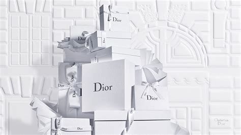 christon dior|official christian dior website.